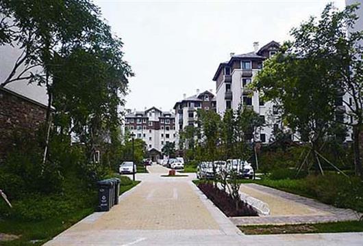 s_191032499.jpg